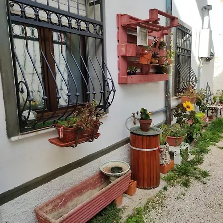 B&brothers-tzia Luisa Nuoro (Sardinia)